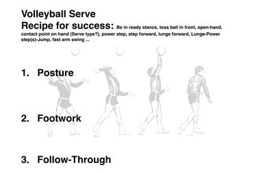 Volleyball - Human Performance & Well- Being